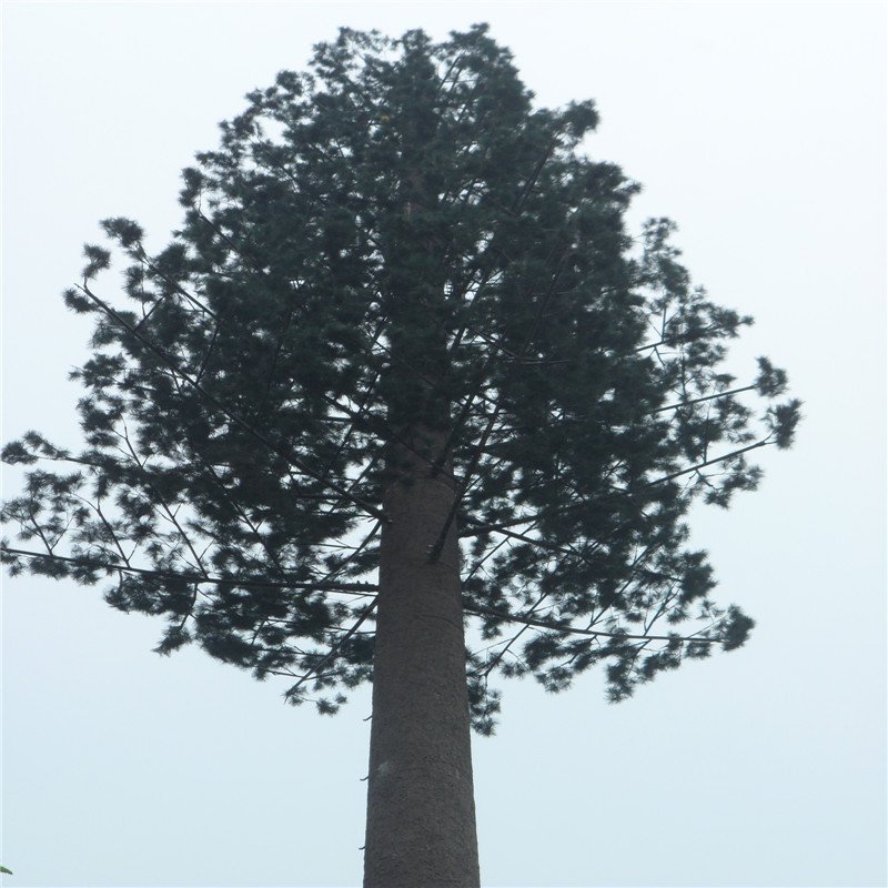 10-50m Camouflaged Palm Tree Cell Phone Tower